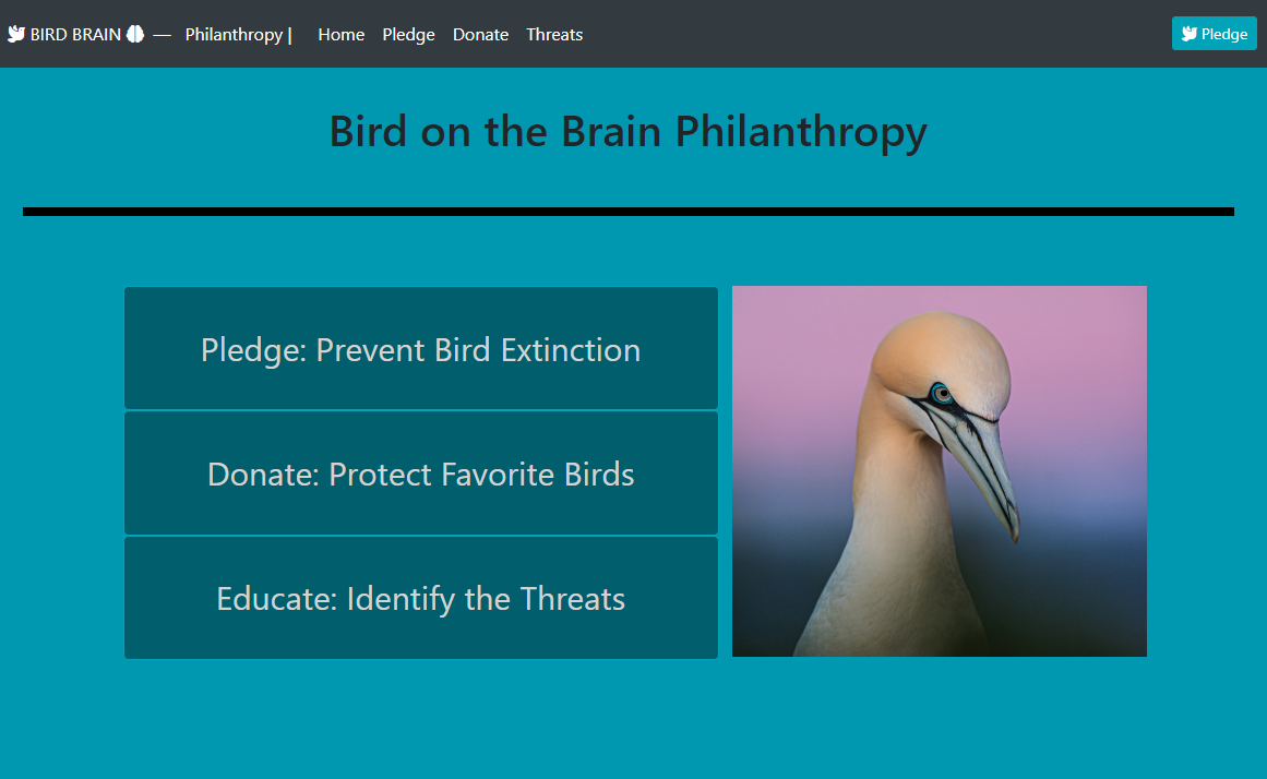 Bird on the Brain Flask App